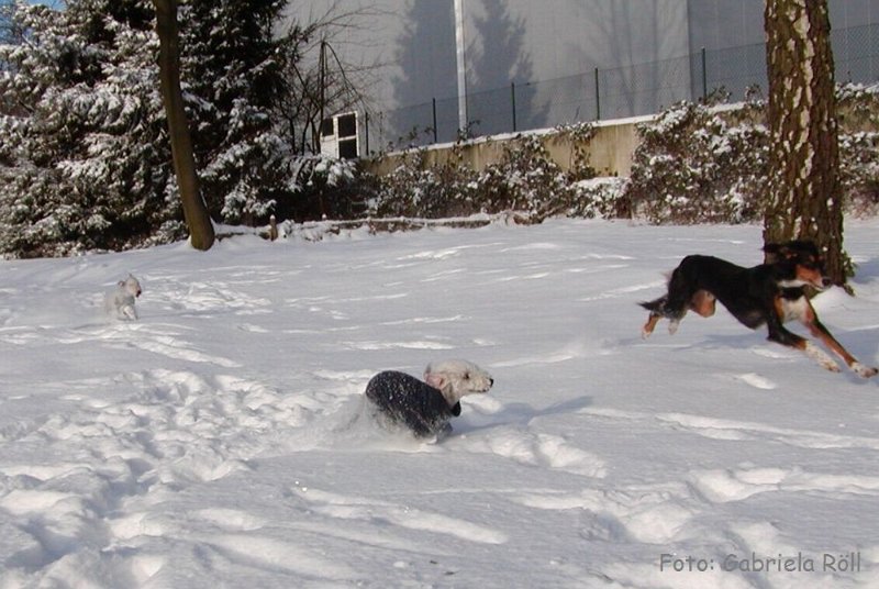 Quincy 2009-01-05 (9).JPG